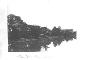 The Lake Eden Gardens