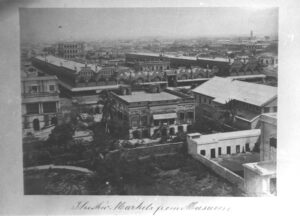 The New Markets from Museum