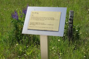 Baumlehrpfad an der Sophienhöhe